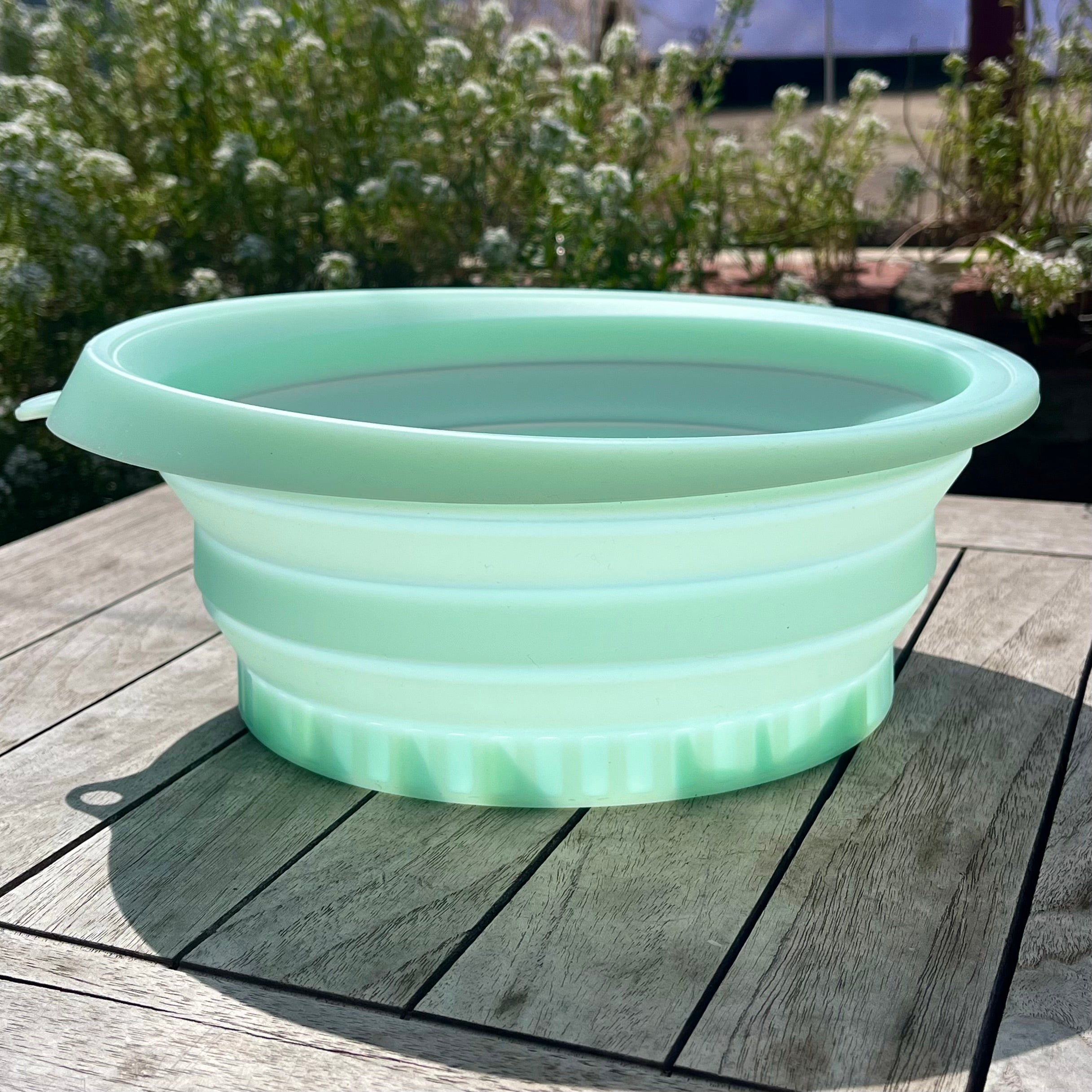 Glow Bowl